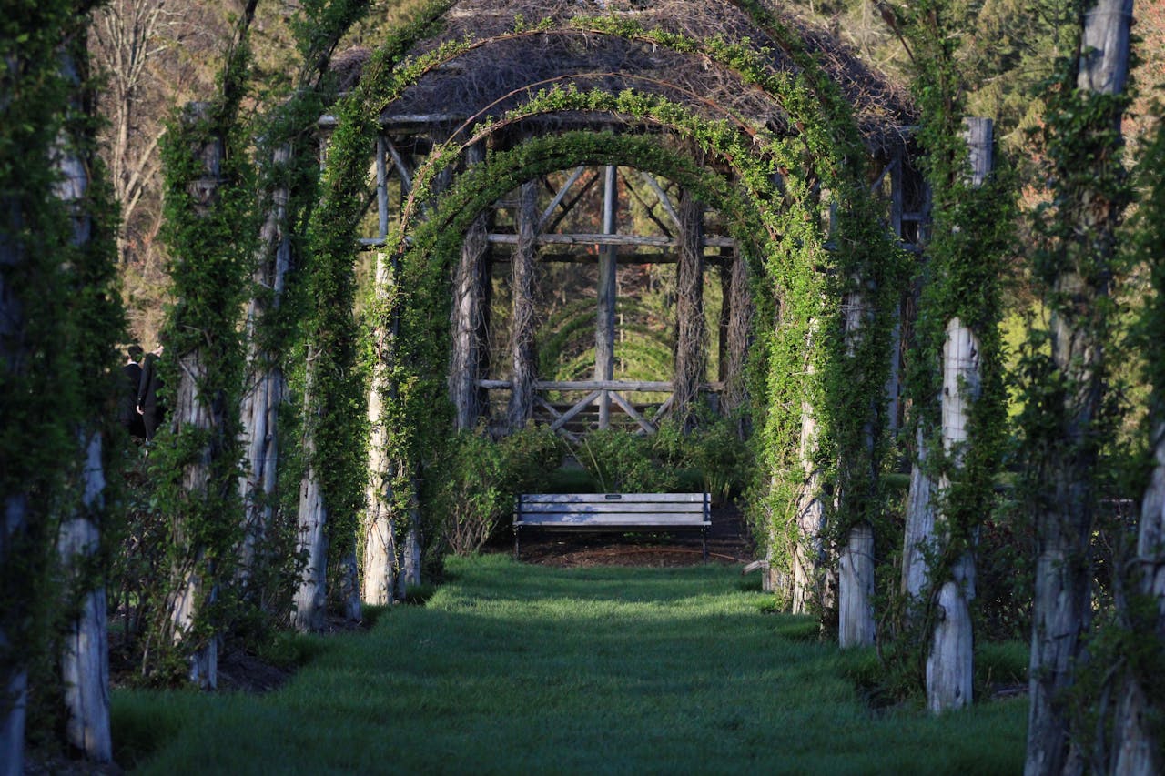 Modern residential garden design with native plants